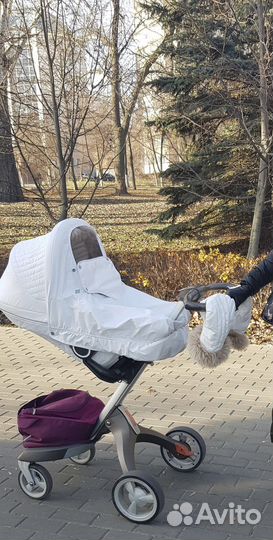 Stokke зимний кит