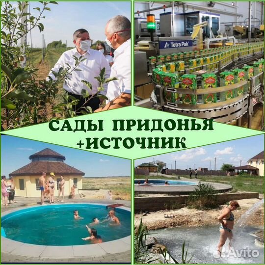 Экскурсия в Сады Придонья