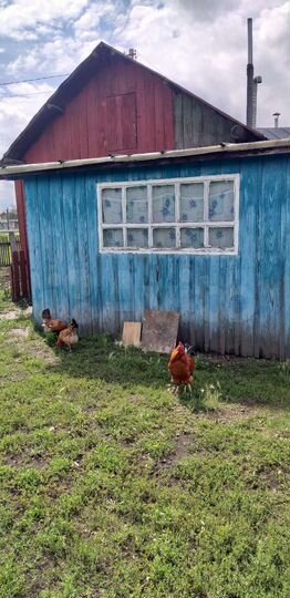 Дом 26 м² на участке 10 сот.