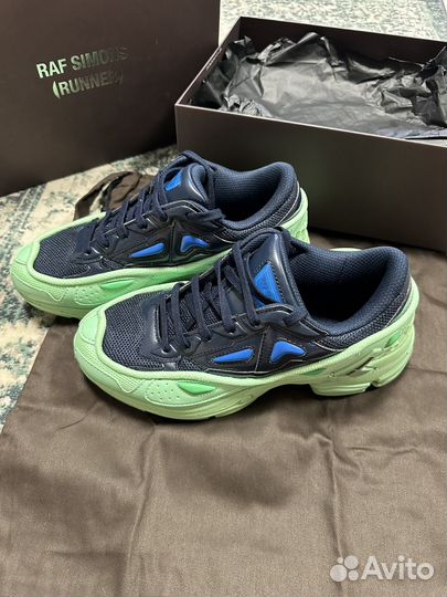 Raf Simons runner Pharaxus Sneakers in Green