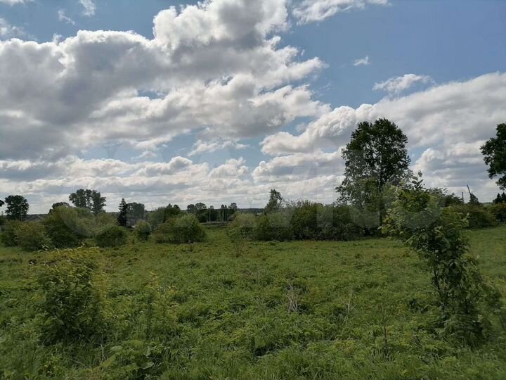 Участок 19 сот. (СНТ, ДНП)