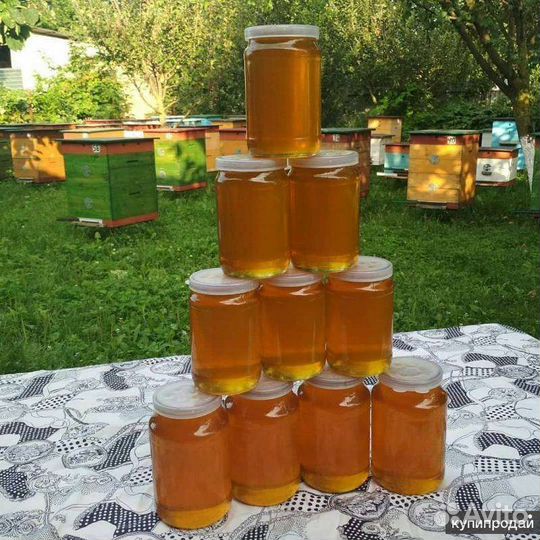 Разнотравье мед 2023