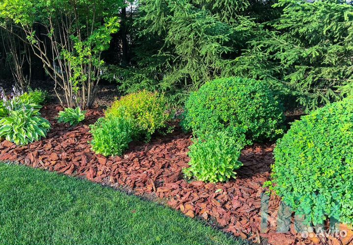 Сосновая кора и мульча цветная