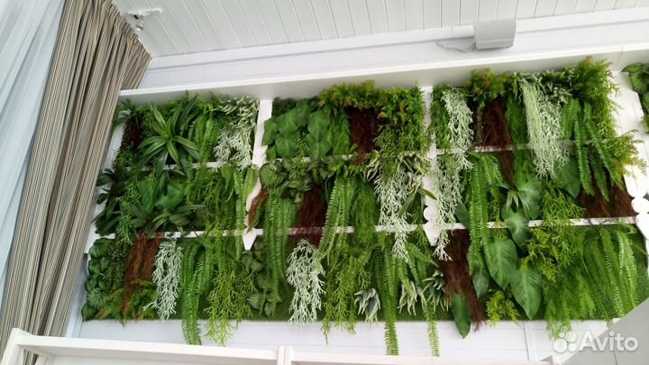 Вертикальное озеленение