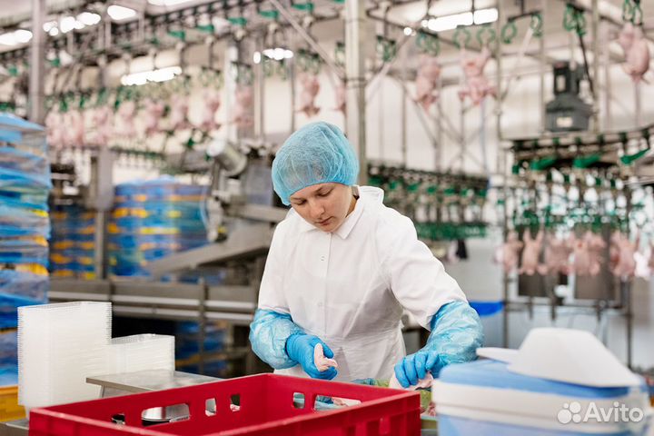 Упаковщик/ца с бесплатным проживанием.Вахта Калуга