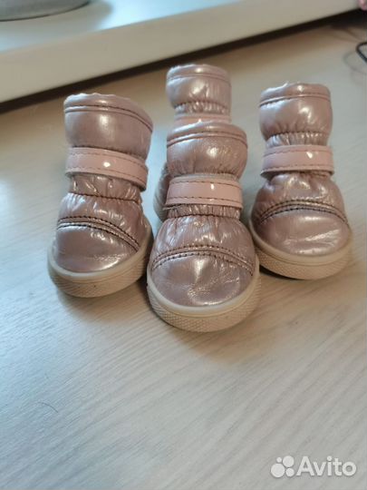 Ботиночки для собак