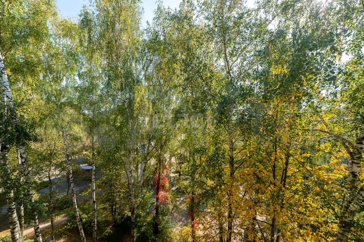 1-к. квартира, 30,9 м², 5/5 эт.