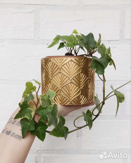 Горшок для цветов