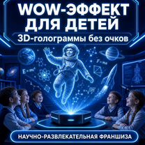 Готовый бизнес: Голографические представления, Вычегодский
