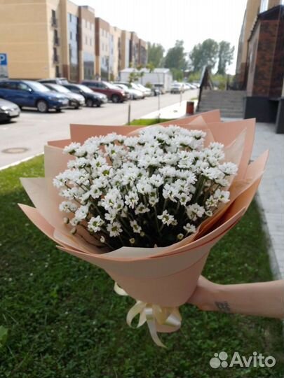 Букет цветов из хризантемы Сантини ромашка