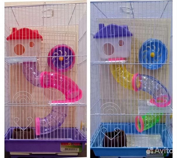 Хомячки персиковые(+Клетки)