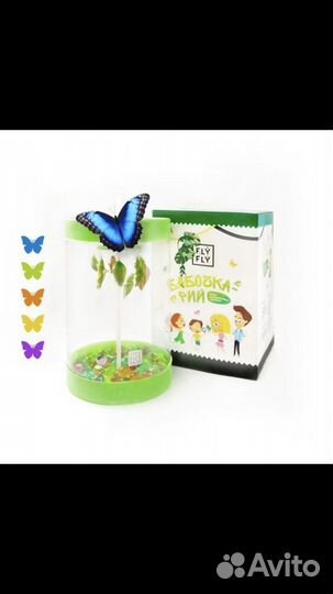 В подарок, живые тропические бабочки и бабочкарии