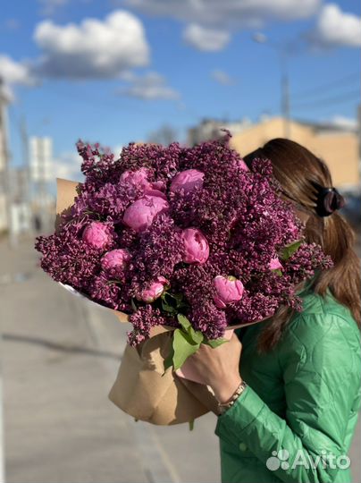 Сирень пион