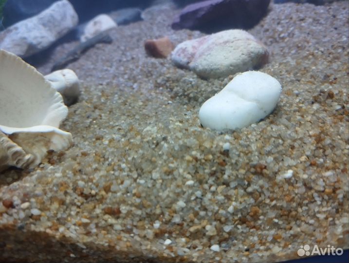 Грунт для аквариума