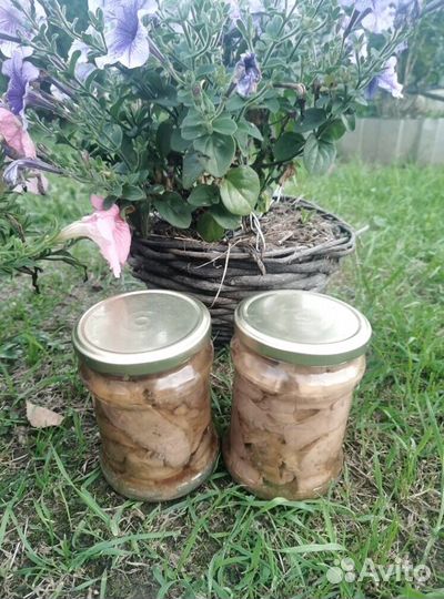 Печень трески свежая