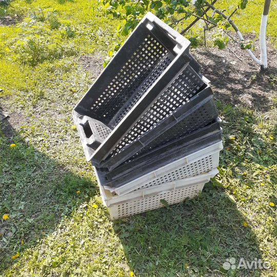 Пластиковые ящики бу остались маленькие ящики