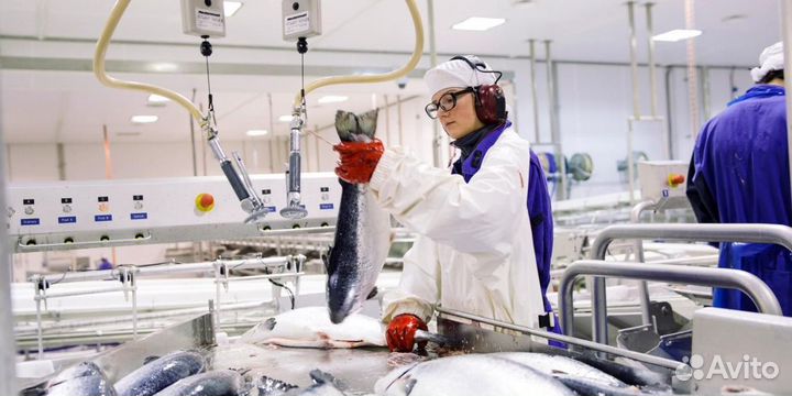 Оператор производственной линии