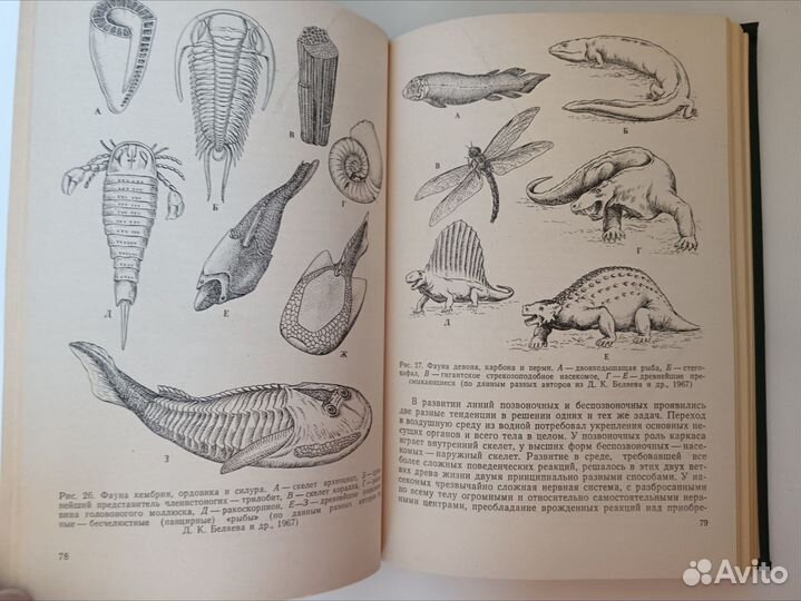 Эволюционное учение /Яблоков