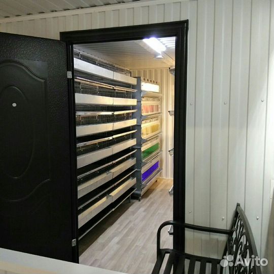 Перепелиная модульная Ферма