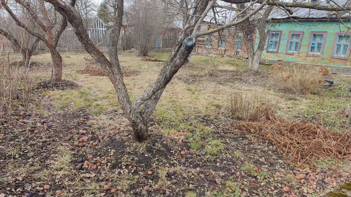 Участок 15 сот. (ИЖС)