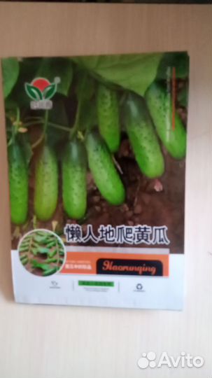 Китайские семена