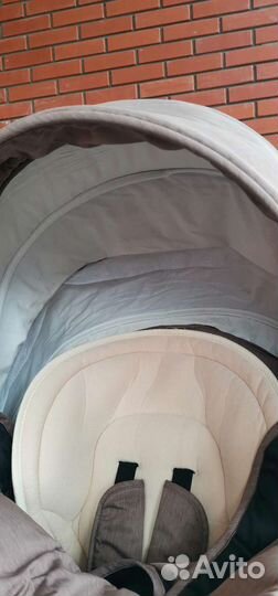 Коляска tutis viva life 2 в 1