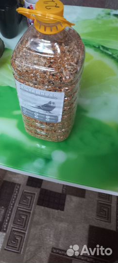 Волнистый попугай с клеткой