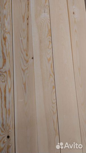 Планкен прямой, ангарская сосна, сорт прима