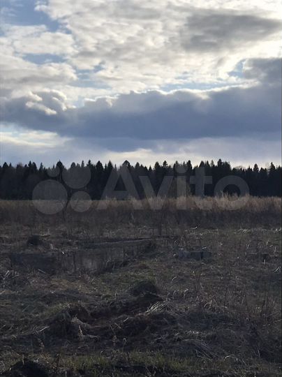 Участок 50 сот. (ИЖС)