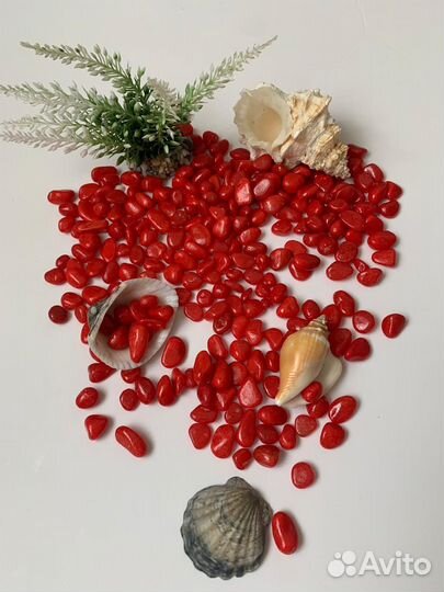 Грунт для аквариума декор ракушки