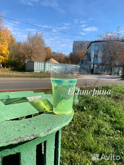 Дизельное топливо оптом 95