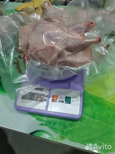 Домашняя птица перепела