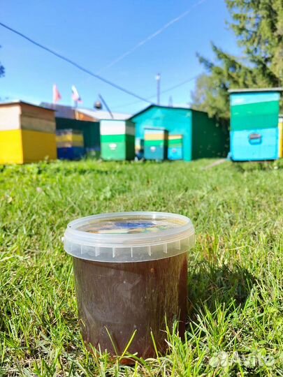 Алтайский свежий мед