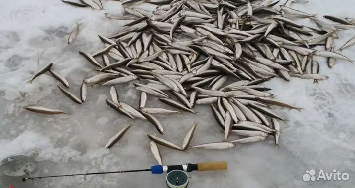 Рыбалка и отдых