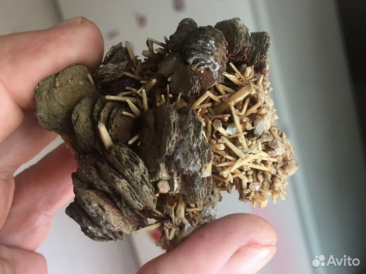 Перотин на кварце