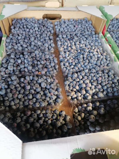 Голубика в наличии