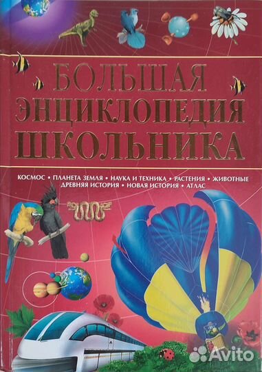 Большая энциклопедия школьника