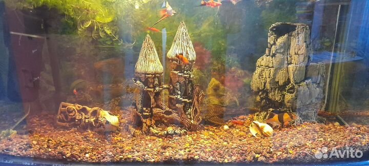Аквариум