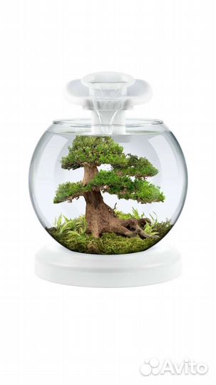 Аквариумы укомплектованные с рыбками