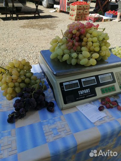 Виноград столовый