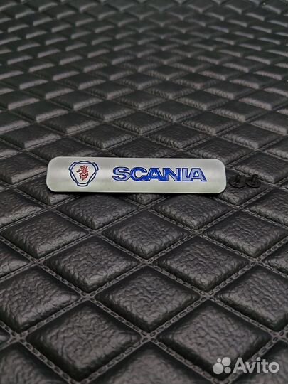 Шильдик с автологотипом 12,3*2,7 для эва