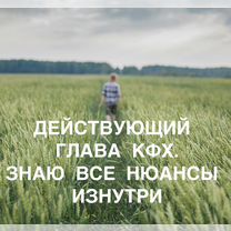 Оформление сельхоз земли от государства, Дмитров