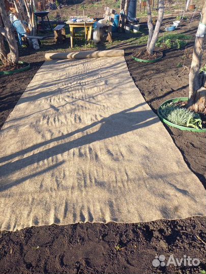 Рулонный газон Биомат