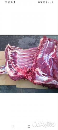 Мясо говядина домашняя молодая телятина