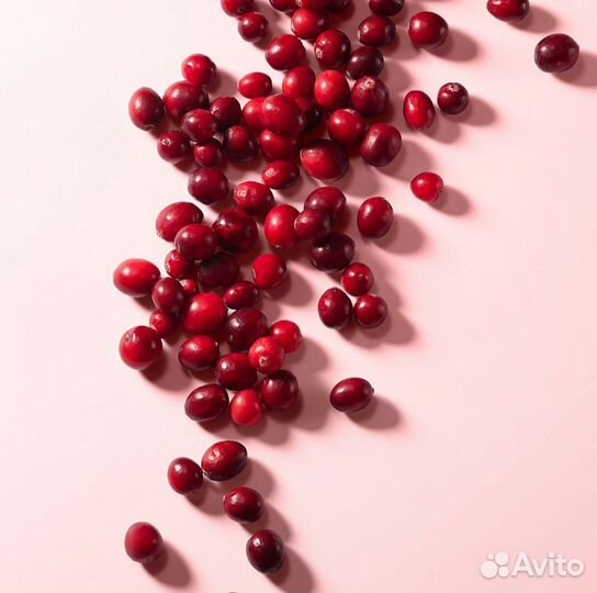 Dolce & gabbana туалетная вода