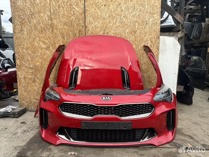 Ноускат Kia stinger