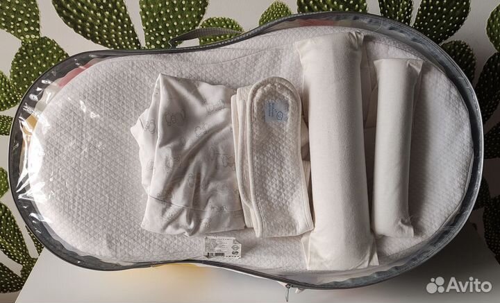 Кокон зевушка