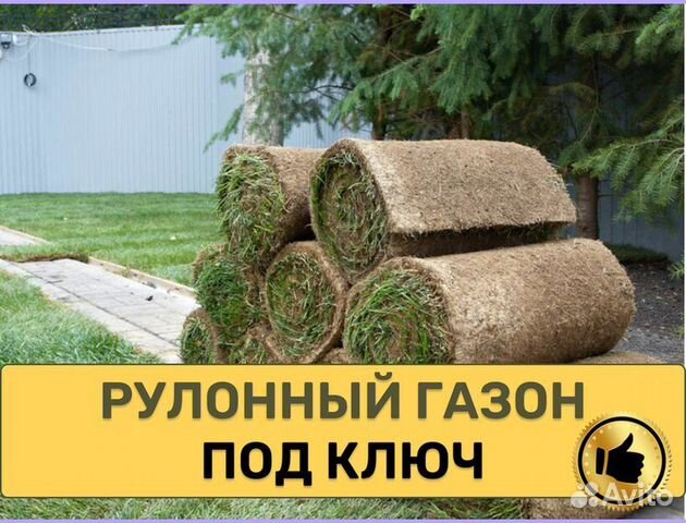 Рулонный газон с укладкой спортивный