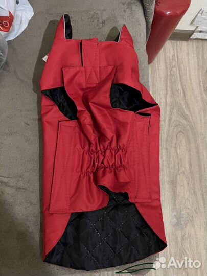 Куртка для небольшой собаки попона