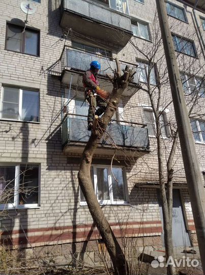 Спил, валка, уборка деревьев, измельчение веток